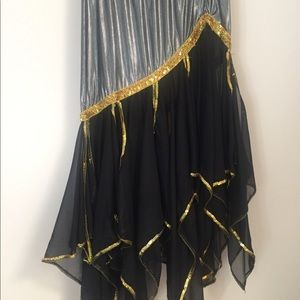 Belly dance skirt.  One size fits all